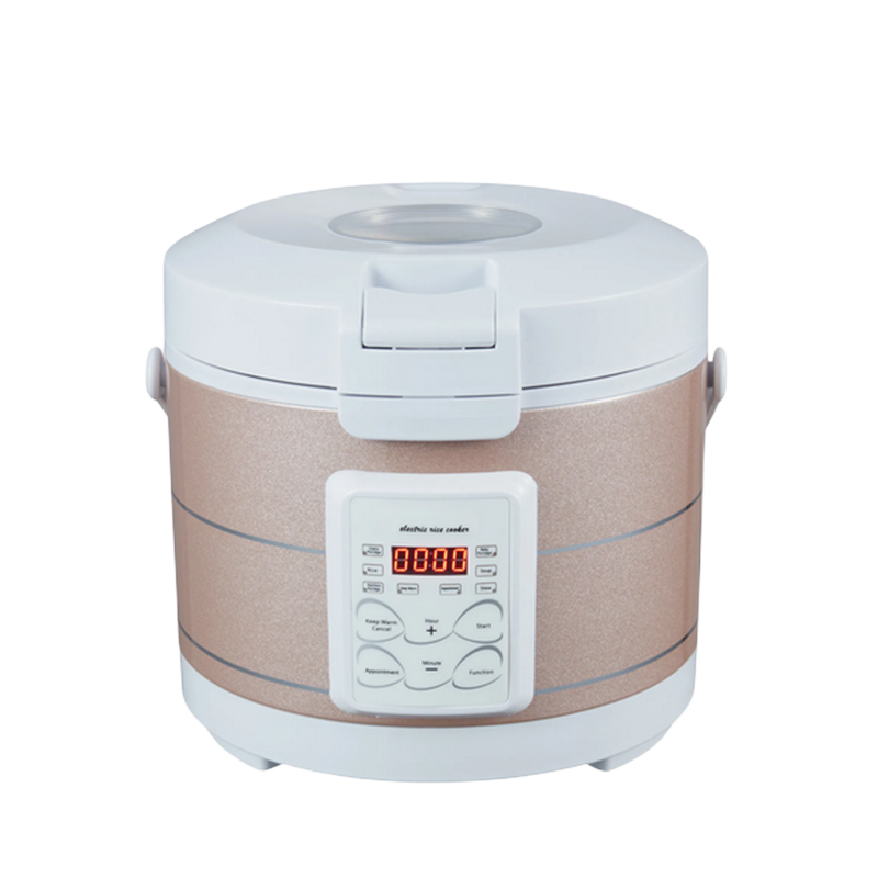 Olla arrocera de 12-24V 220V,  - Home Cooking Heater reseña y precio